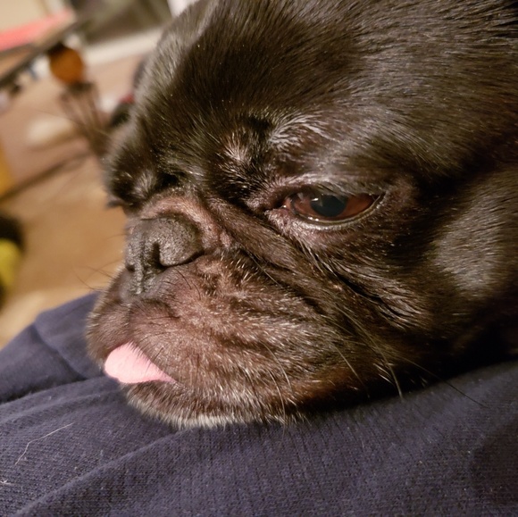 Meet your Posher, Jason - Picture 2 of 4